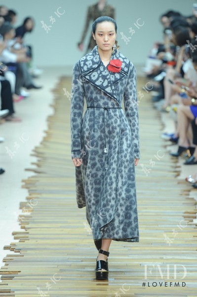 Yue Han featured in  the Celine fashion show for Autumn/Winter 2014