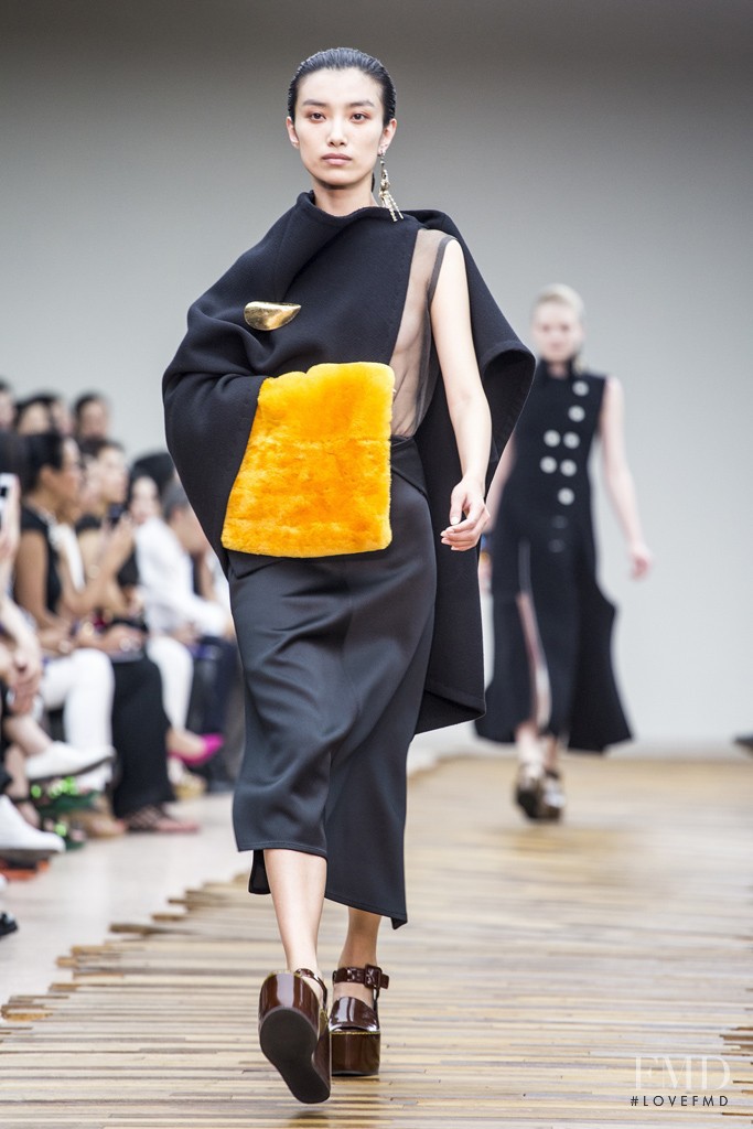 Meng Die Hou featured in  the Celine fashion show for Autumn/Winter 2014