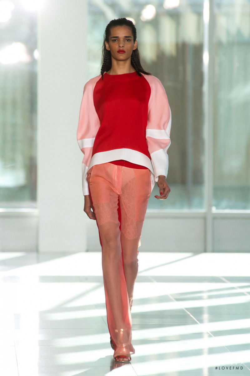 Antonio Berardi fashion show for Spring/Summer 2014