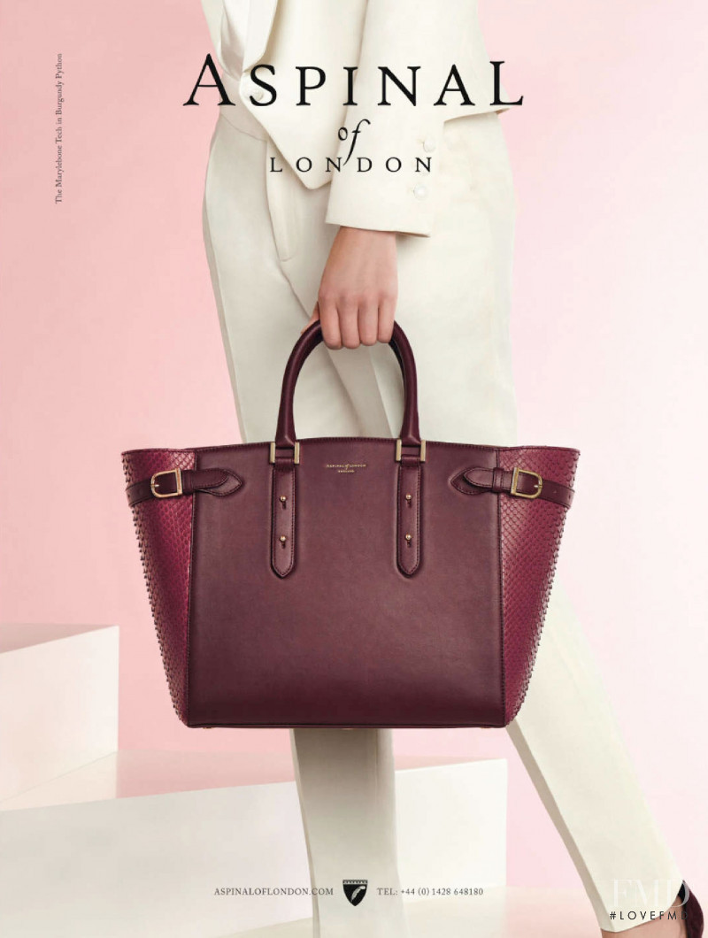 Aspinal of London advertisement for Autumn/Winter 2015