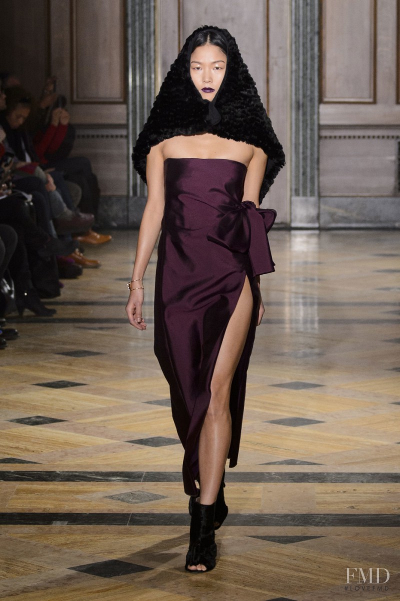 Sophie Theallet fashion show for Autumn/Winter 2016