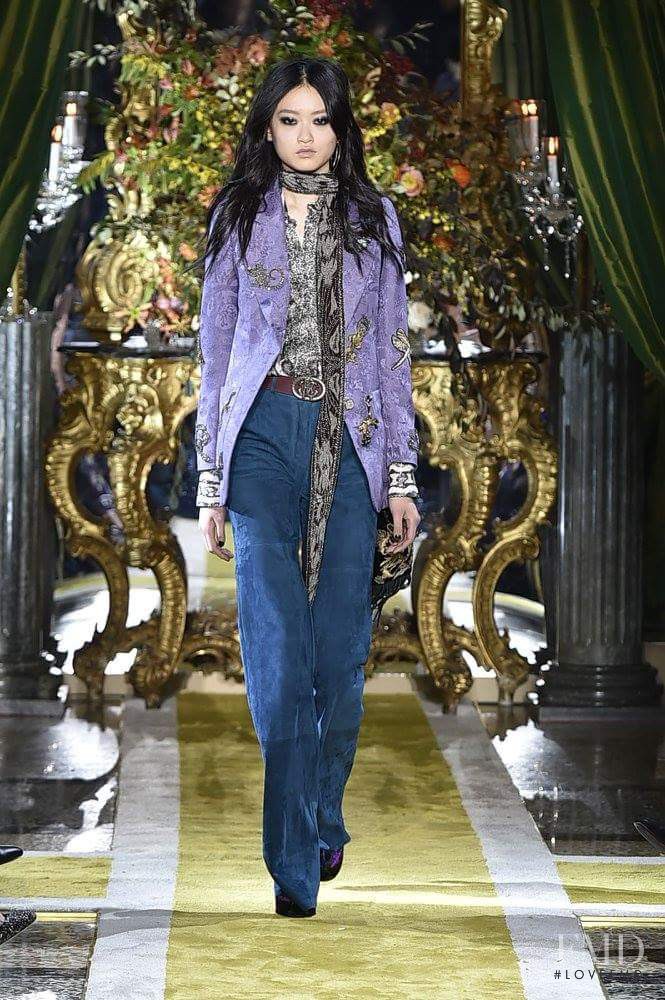 Roberto Cavalli fashion show for Autumn/Winter 2016