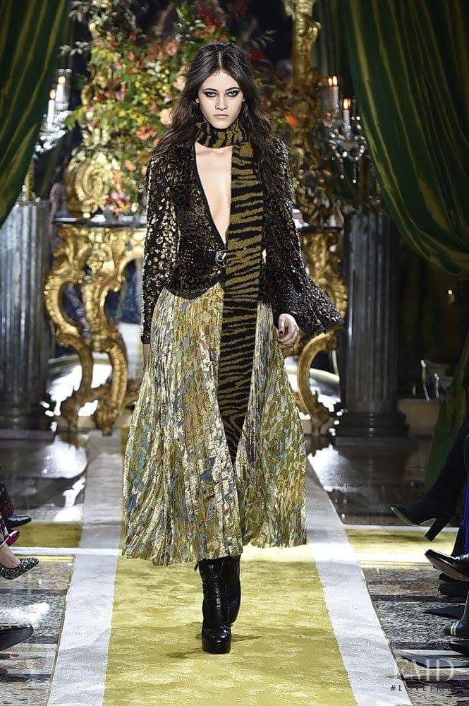 Roberto Cavalli fashion show for Autumn/Winter 2016