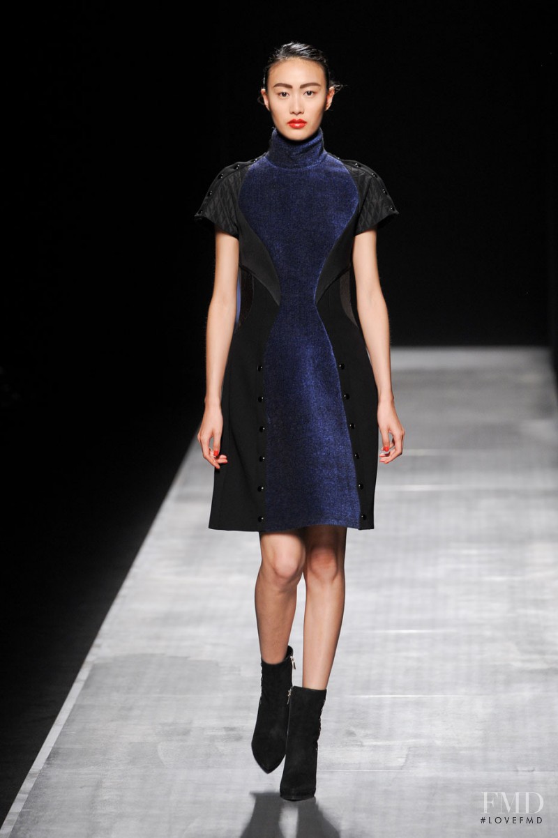 Sportmax fashion show for Autumn/Winter 2012