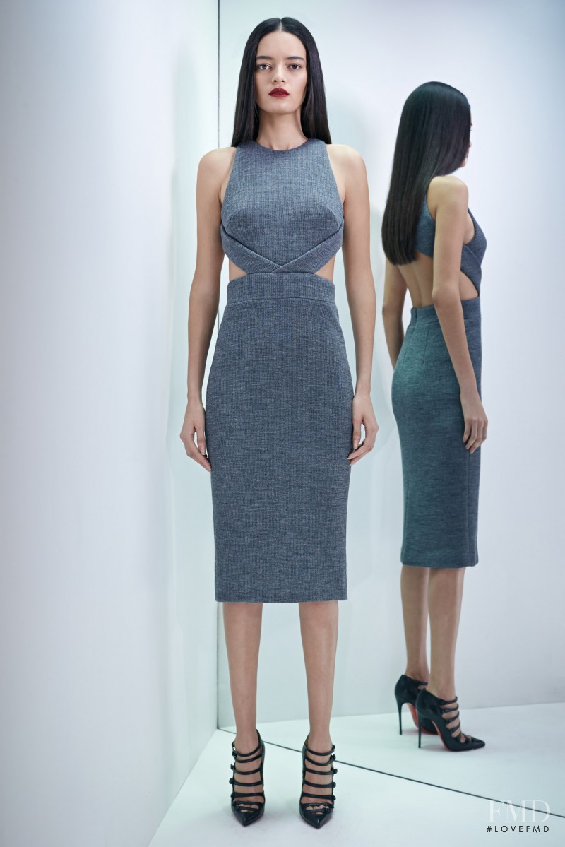 Wanessa Milhomem featured in  the Cushnie Et Ochs fashion show for Pre-Fall 2015