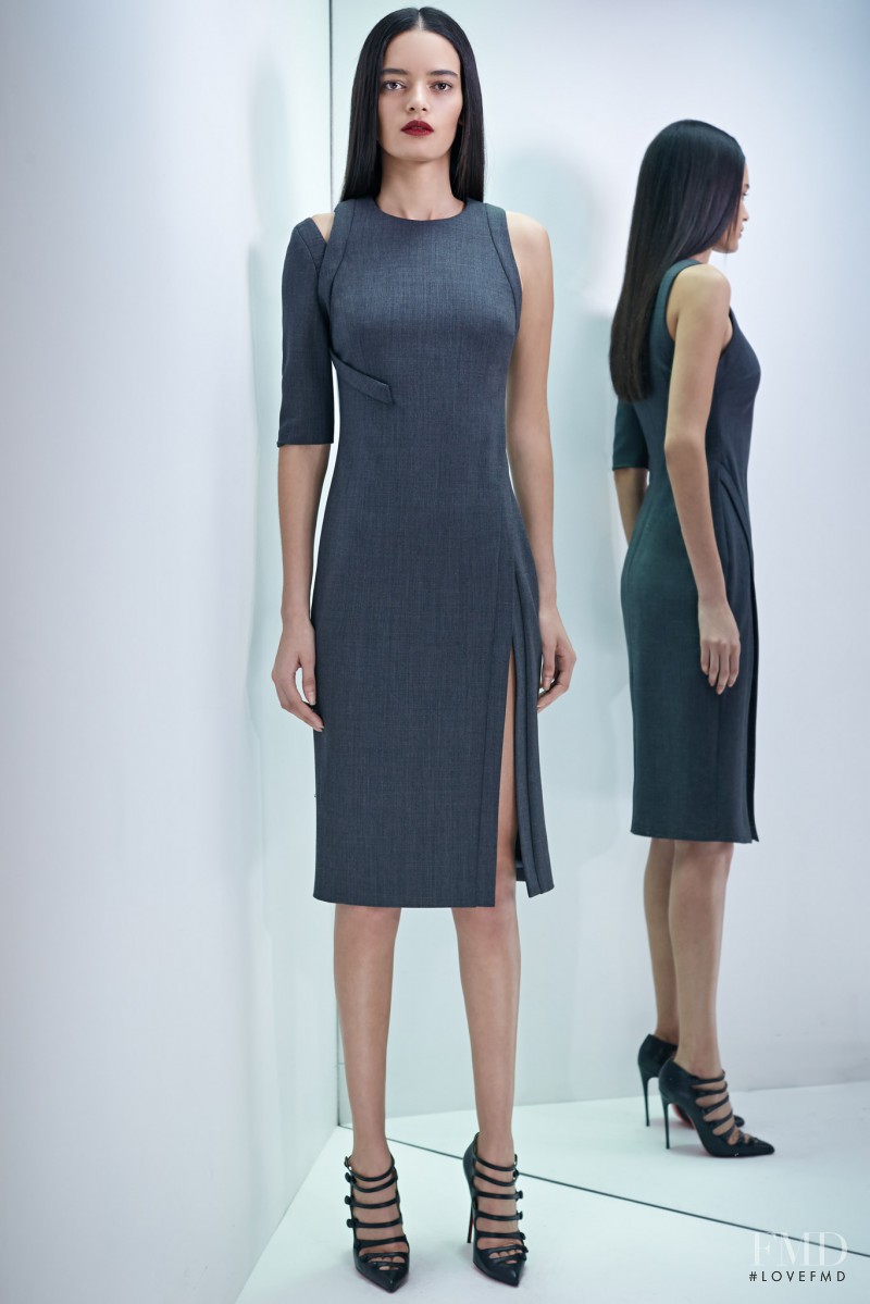 Wanessa Milhomem featured in  the Cushnie Et Ochs fashion show for Pre-Fall 2015