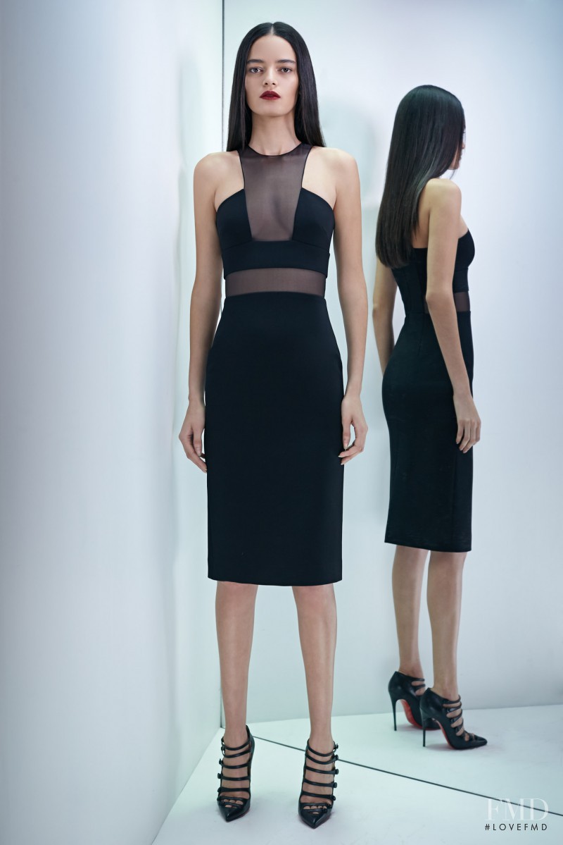 Wanessa Milhomem featured in  the Cushnie Et Ochs fashion show for Pre-Fall 2015