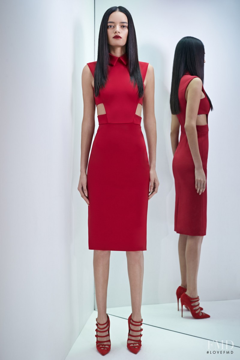 Wanessa Milhomem featured in  the Cushnie Et Ochs fashion show for Pre-Fall 2015