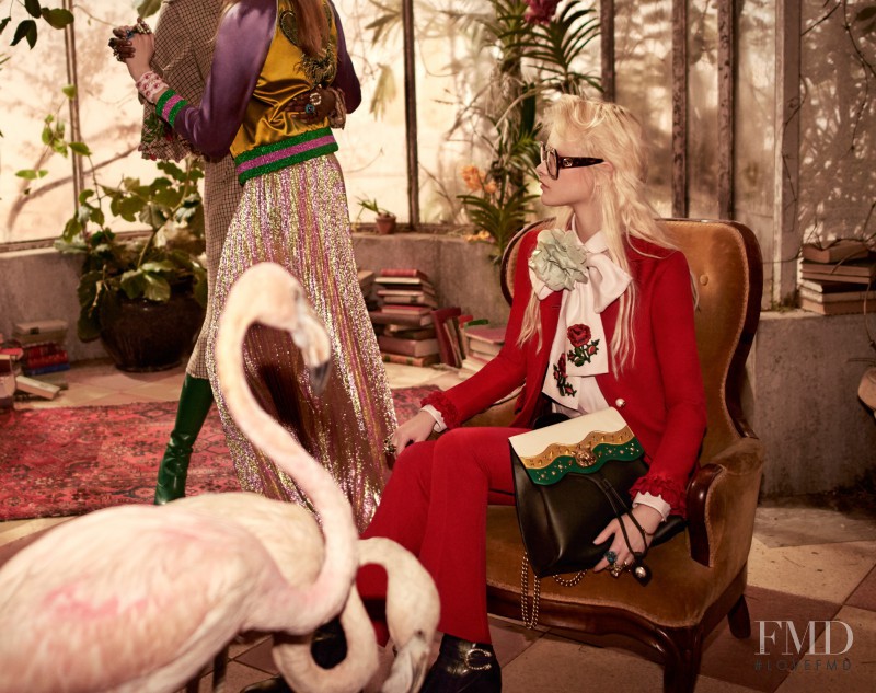 Gucci advertisement for Pre-Fall 2016