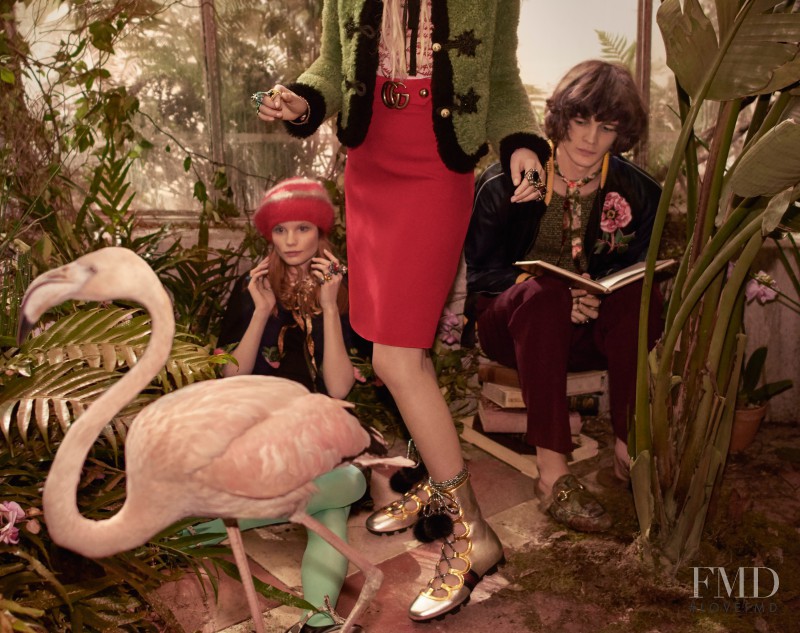 Gucci advertisement for Pre-Fall 2016