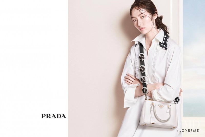 Fei Fei Sun featured in  the Prada advertisement for Pre-Fall 2016