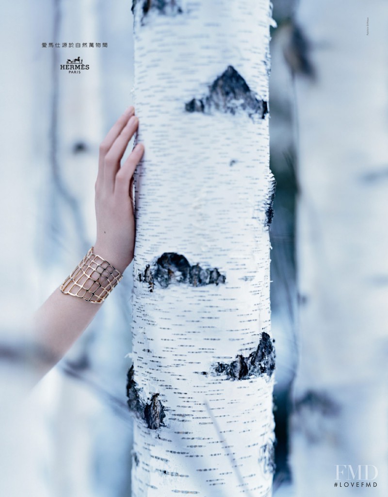 Hermès advertisement for Autumn/Winter 2016