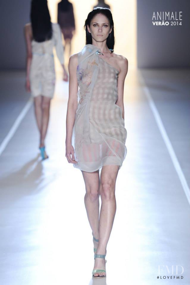 Animale fashion show for Spring/Summer 2014