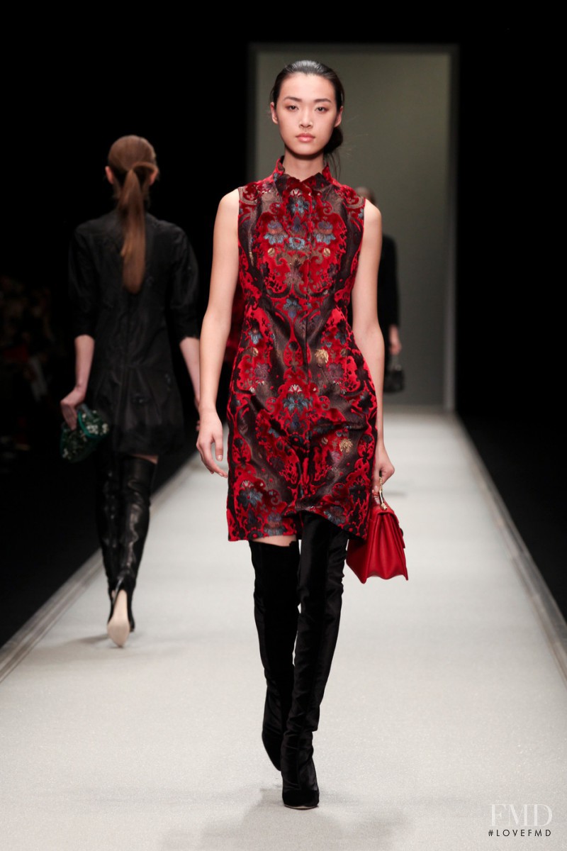 Tian Yi featured in  the Shiatzy Chen fashion show for Autumn/Winter 2013