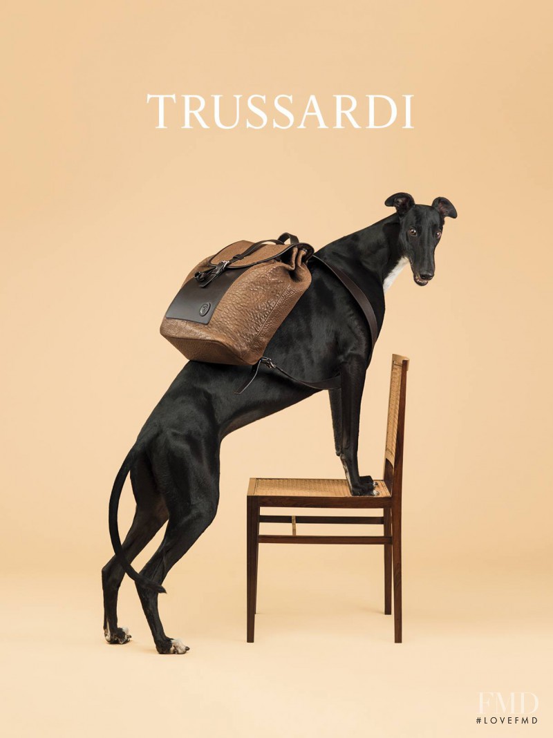 Trussardi advertisement for Spring/Summer 2014