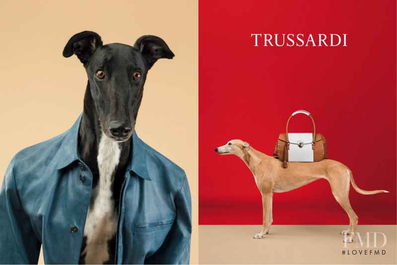 Trussardi advertisement for Spring/Summer 2014