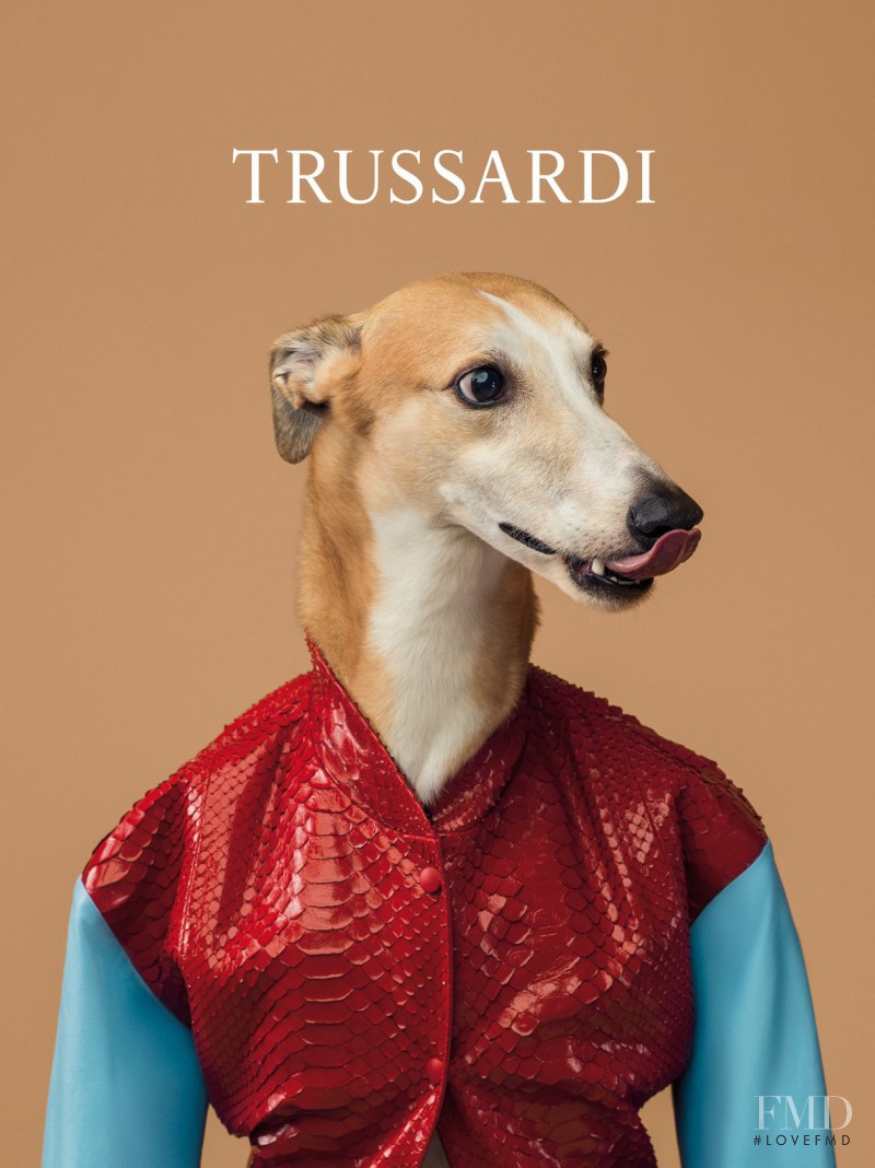 Trussardi advertisement for Spring/Summer 2014