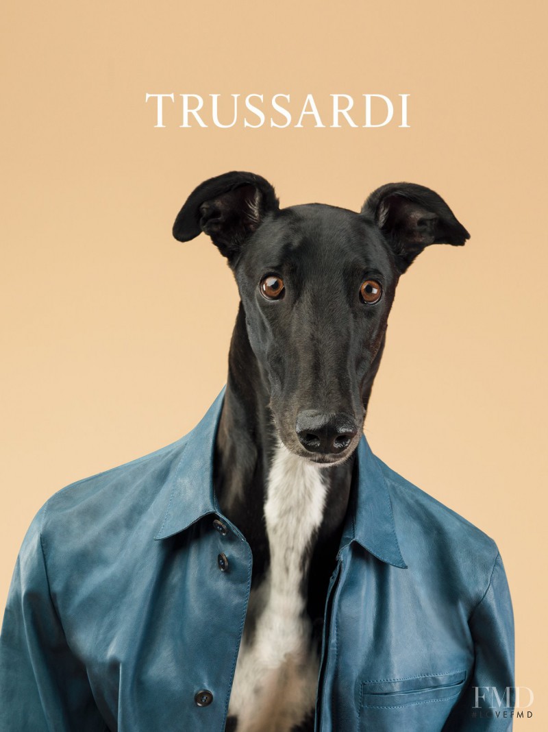 Trussardi advertisement for Spring/Summer 2014