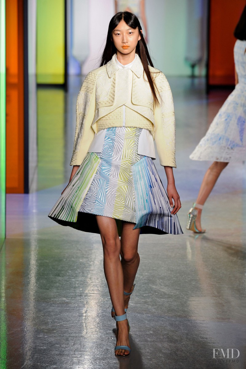 Peter Pilotto fashion show for Spring/Summer 2014