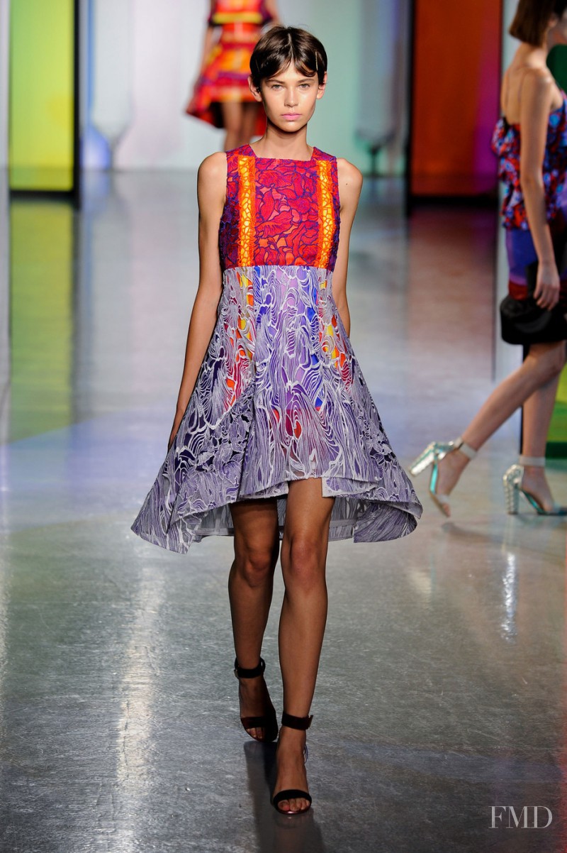 Peter Pilotto fashion show for Spring/Summer 2014