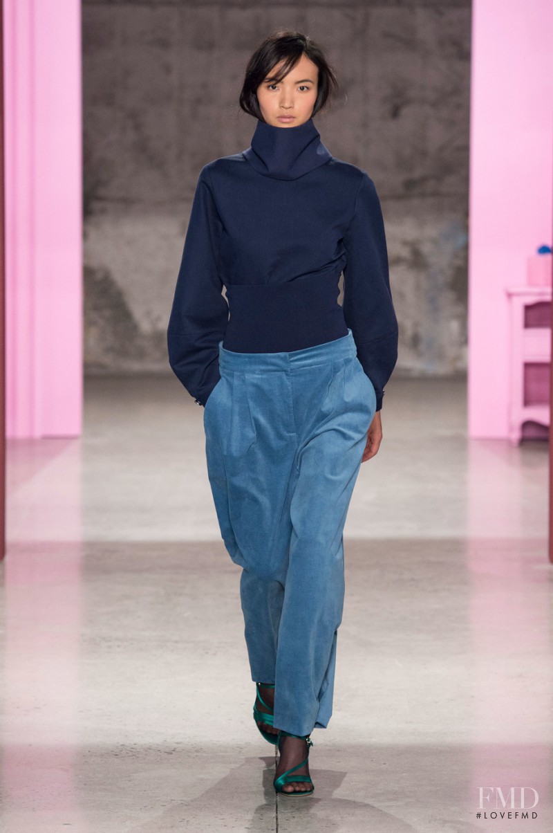 Tibi fashion show for Autumn/Winter 2017