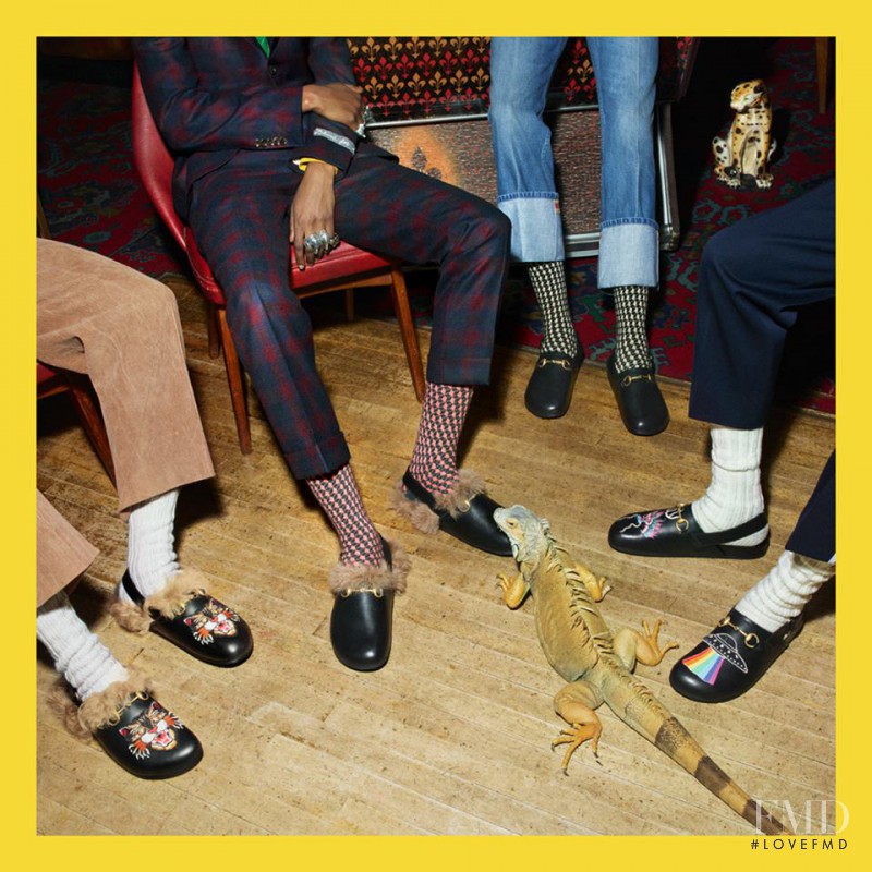 Gucci advertisement for Pre-Fall 2017