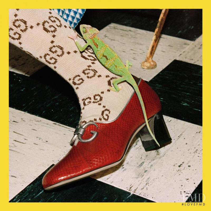 Gucci advertisement for Pre-Fall 2017