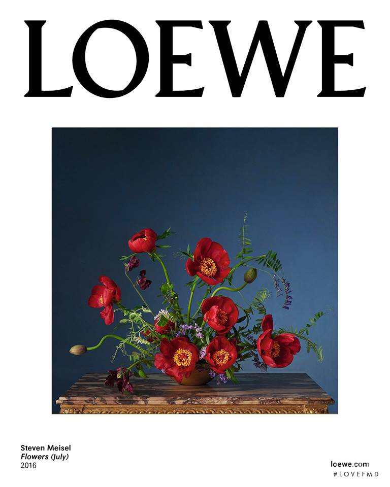 Loewe advertisement for Spring/Summer 2017