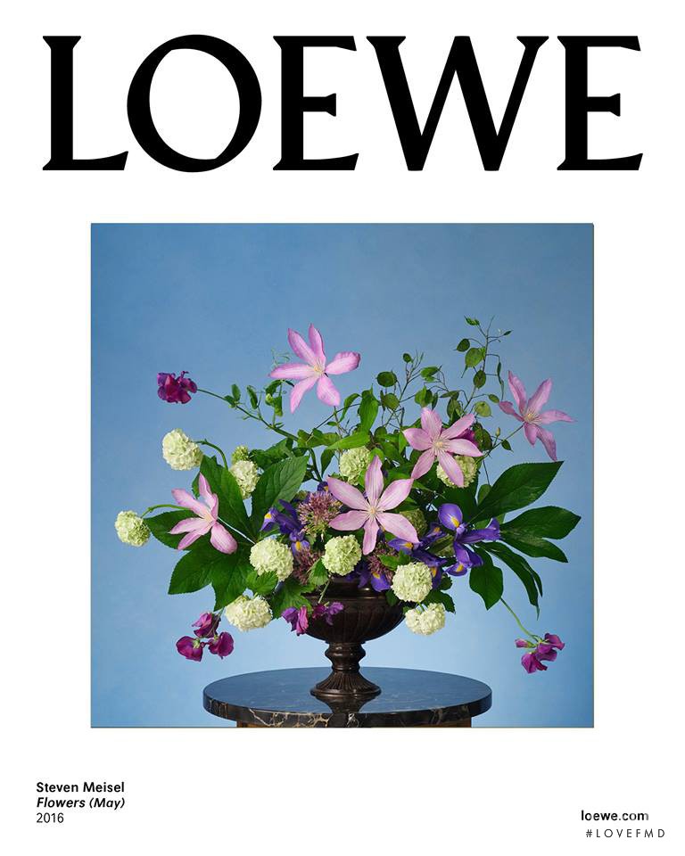 Loewe advertisement for Spring/Summer 2017