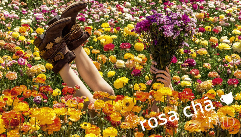 Rosa Chá advertisement for Autumn/Winter 2014