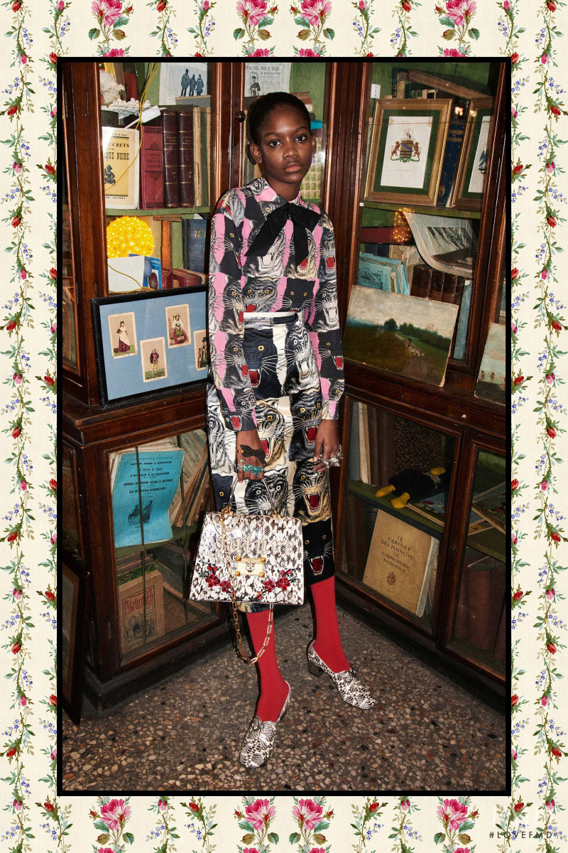 Elibeidy Dani featured in  the Gucci lookbook for Pre-Fall 2017