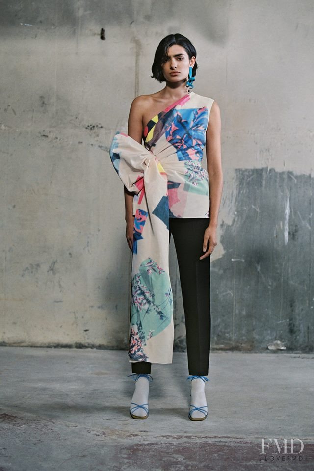 Roksanda Ilincic lookbook for Pre-Fall 2019