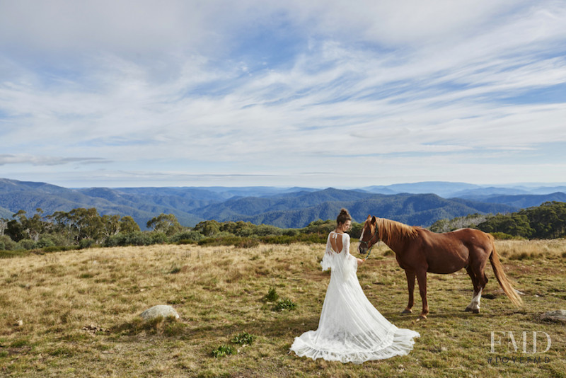 George Gigi Midgley featured in  the Grace Loves Lace advertisement for Autumn/Winter 2016