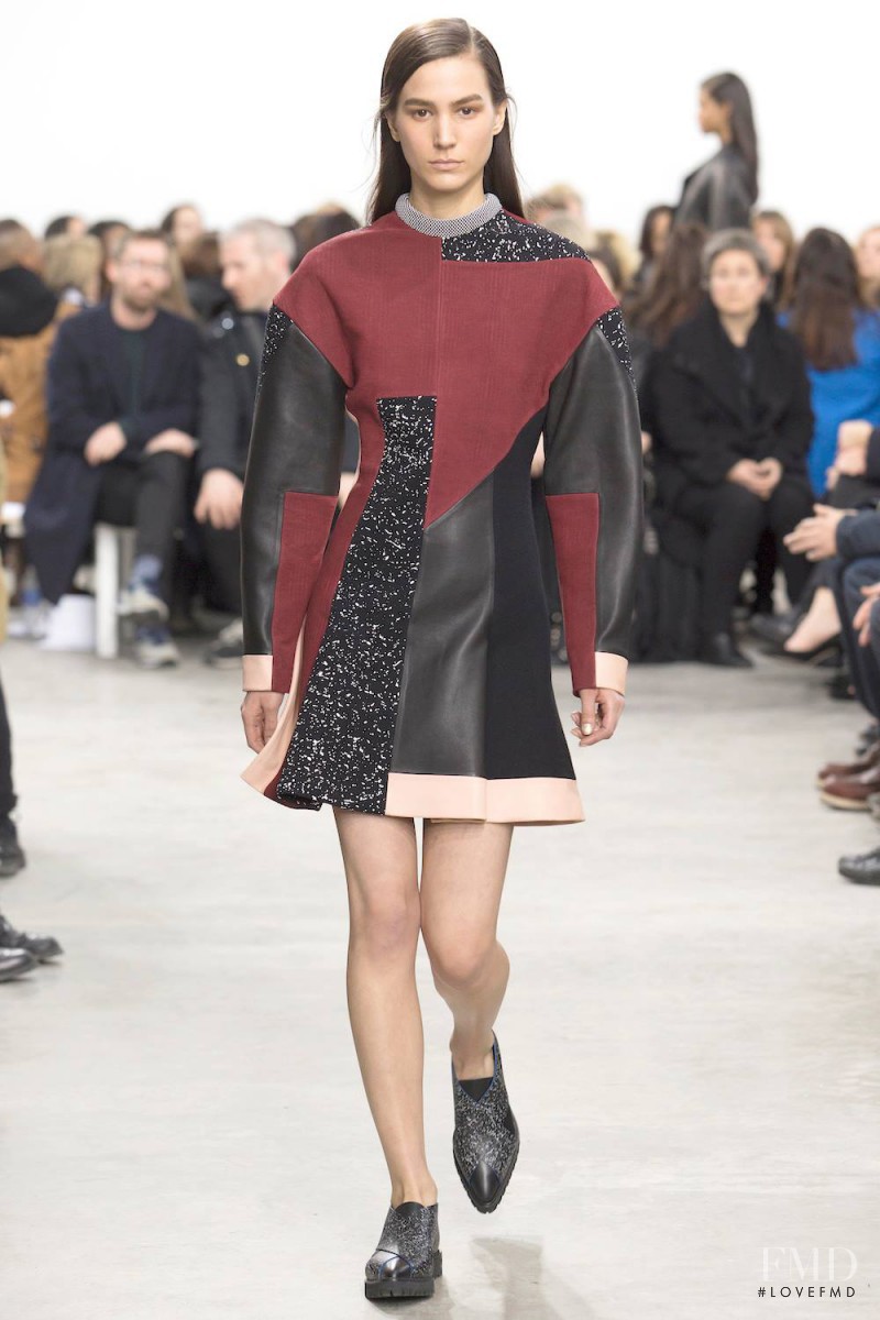 Mijo Mihaljcic featured in  the Proenza Schouler fashion show for Autumn/Winter 2014