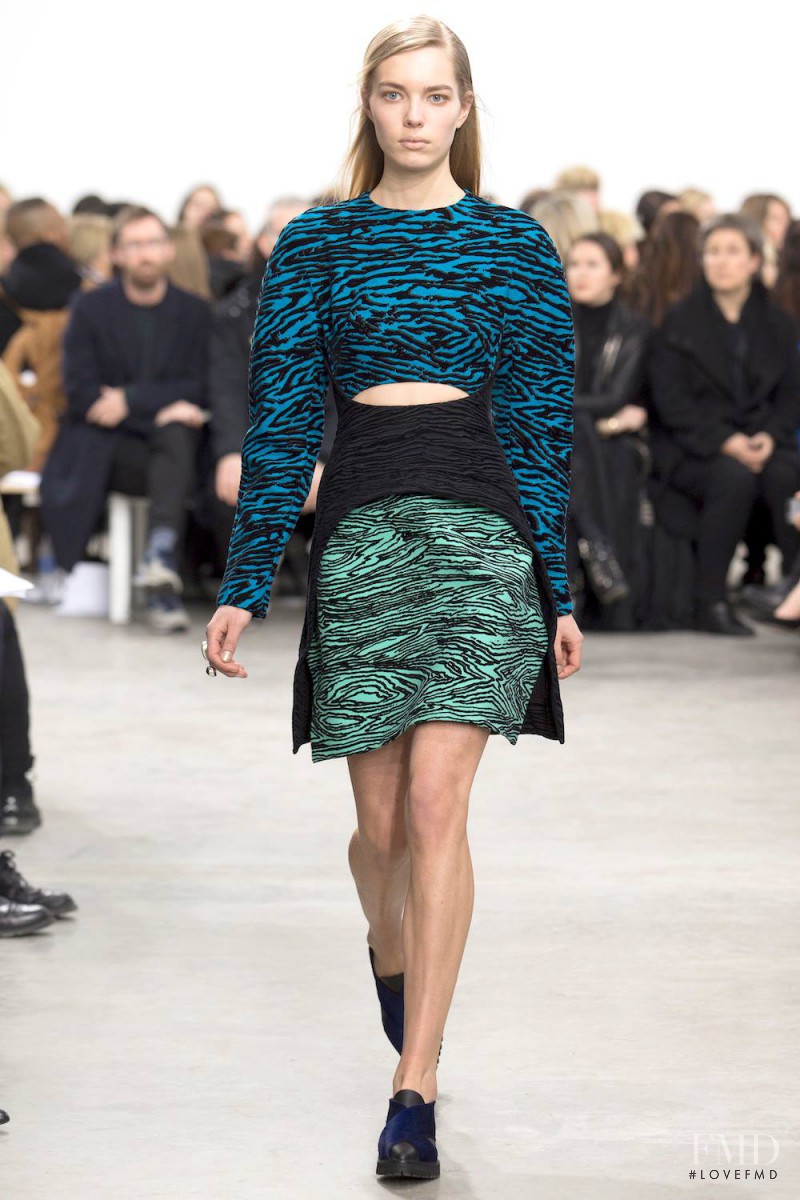 Proenza Schouler fashion show for Autumn/Winter 2014