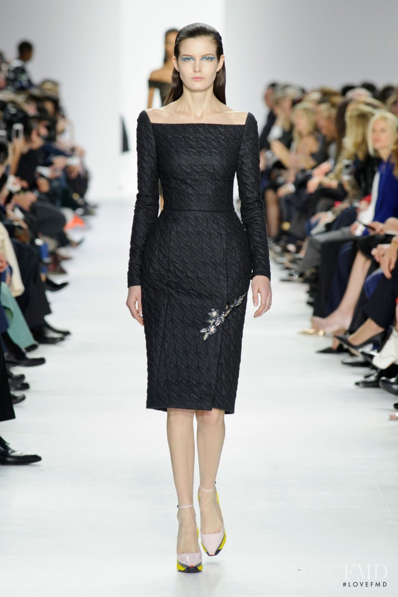 Christian Dior fashion show for Autumn/Winter 2014