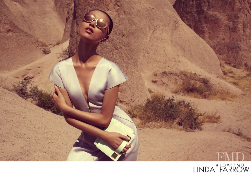 Tian Yi featured in  the Linda Farrow advertisement for Spring/Summer 2014