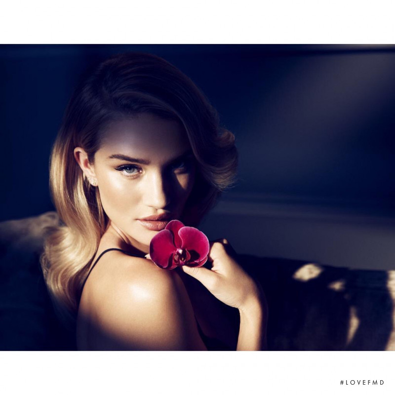 Rosie Huntington-Whiteley featured in  the Marks & Spencer Autograph Nuit Parfum advertisement for Autumn/Winter 2015