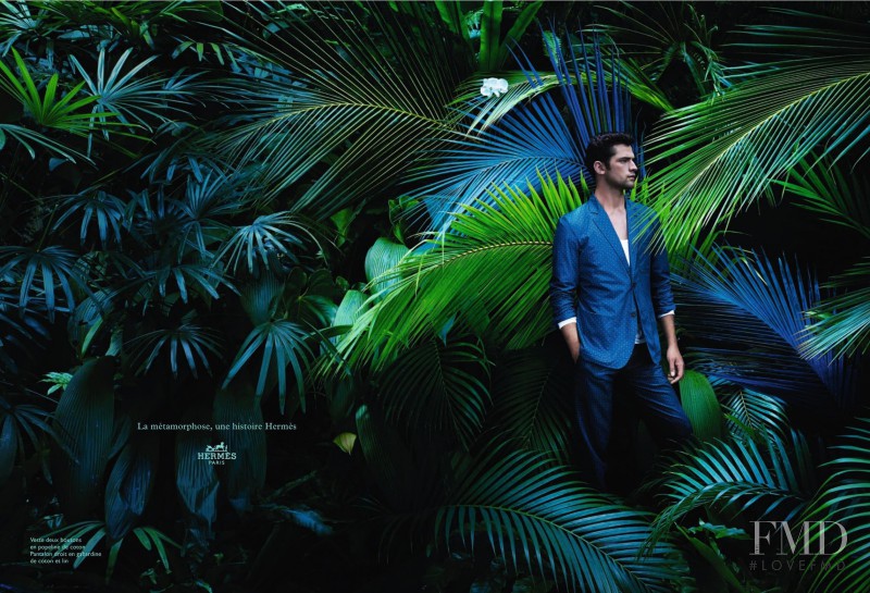 Hermès advertisement for Spring/Summer 2014