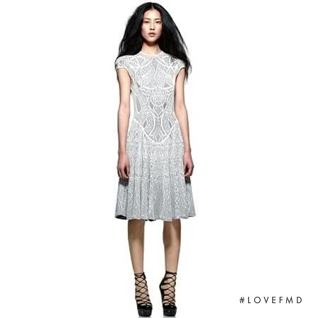 Liu Wen featured in  the Alexander McQueen lookbook for Fall 2010