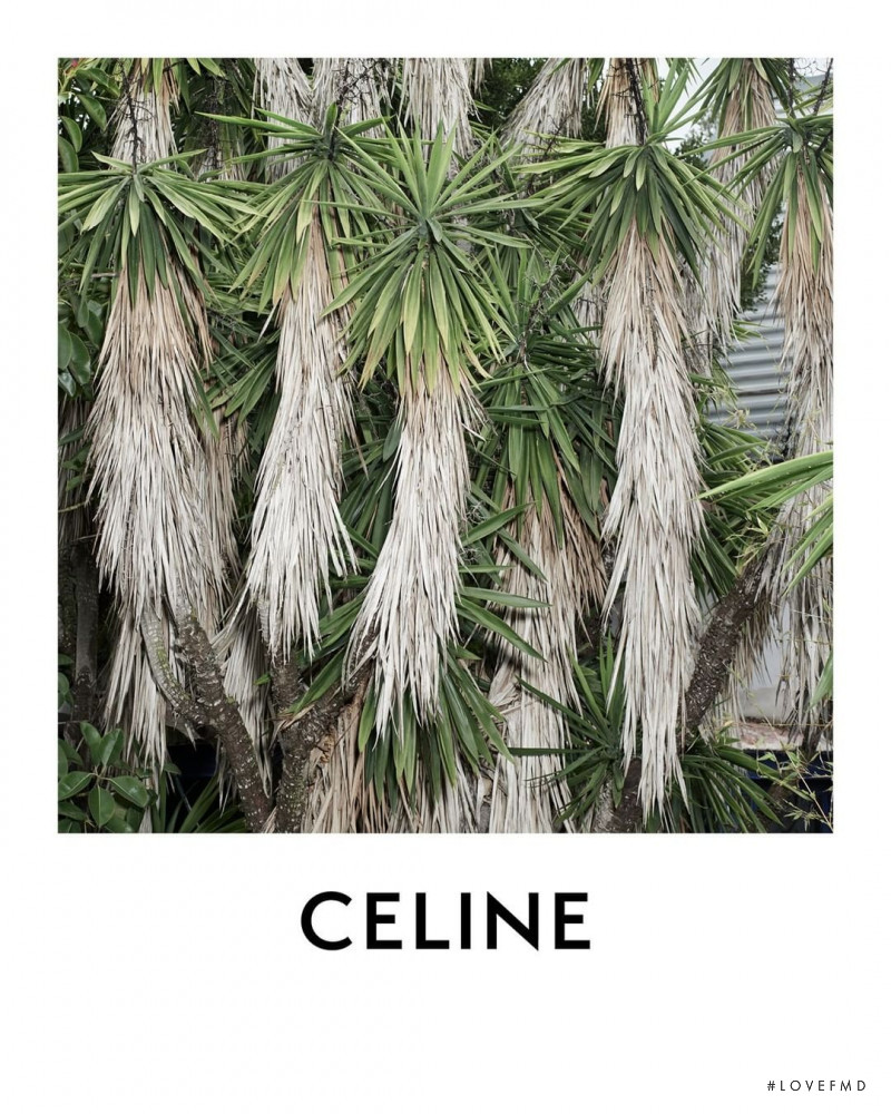 Celine advertisement for Autumn/Winter 2021