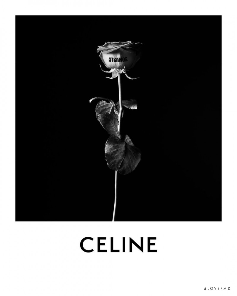 Celine Teen Knight Poem advertisement for Summer 2021