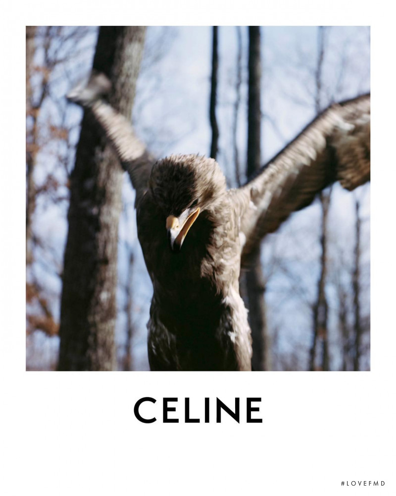 Celine Teen Knight Poem advertisement for Summer 2021