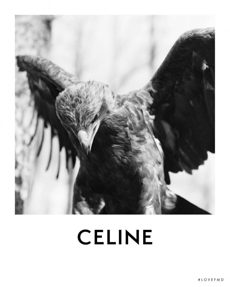 Celine Teen Knight Poem advertisement for Summer 2021