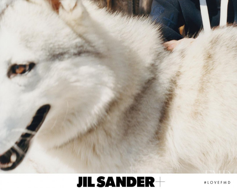 Jil Sander advertisement for Autumn/Winter 2021