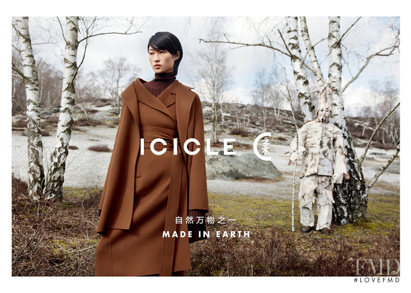 Icicle advertisement for Autumn/Winter 2018