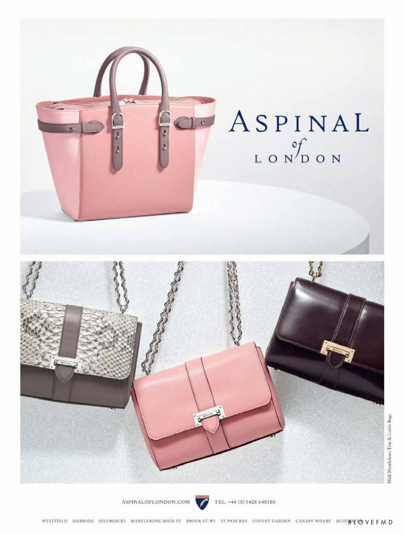 Aspinal of London advertisement for Autumn/Winter 2016