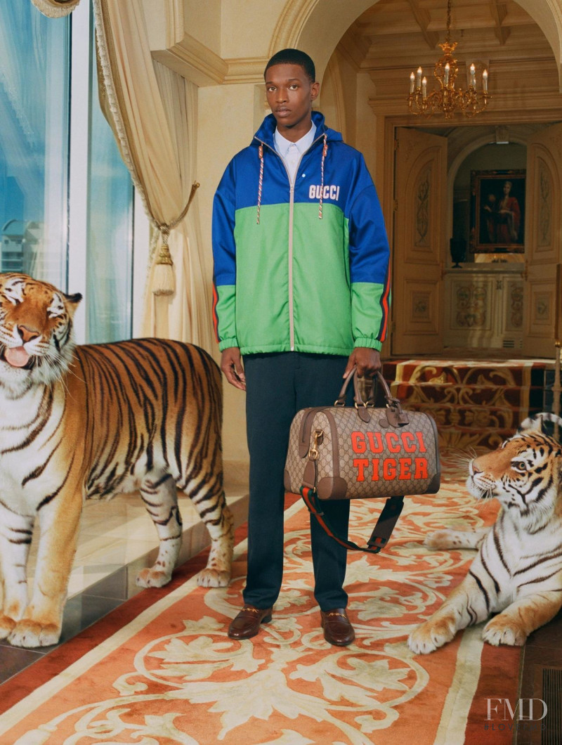 Gucci The Tiger advertisement for Spring/Summer 2022