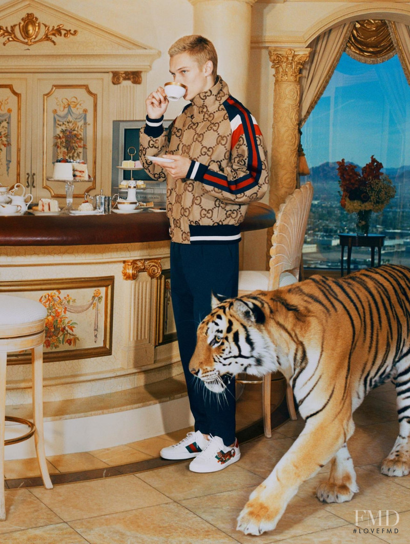 Gucci The Tiger advertisement for Spring/Summer 2022