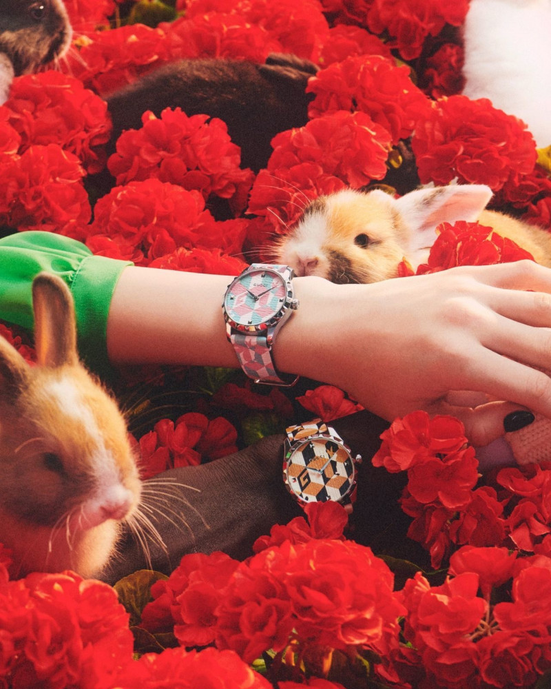 Gucci The Year Of The Rabbit advertisement for Spring/Summer 2023